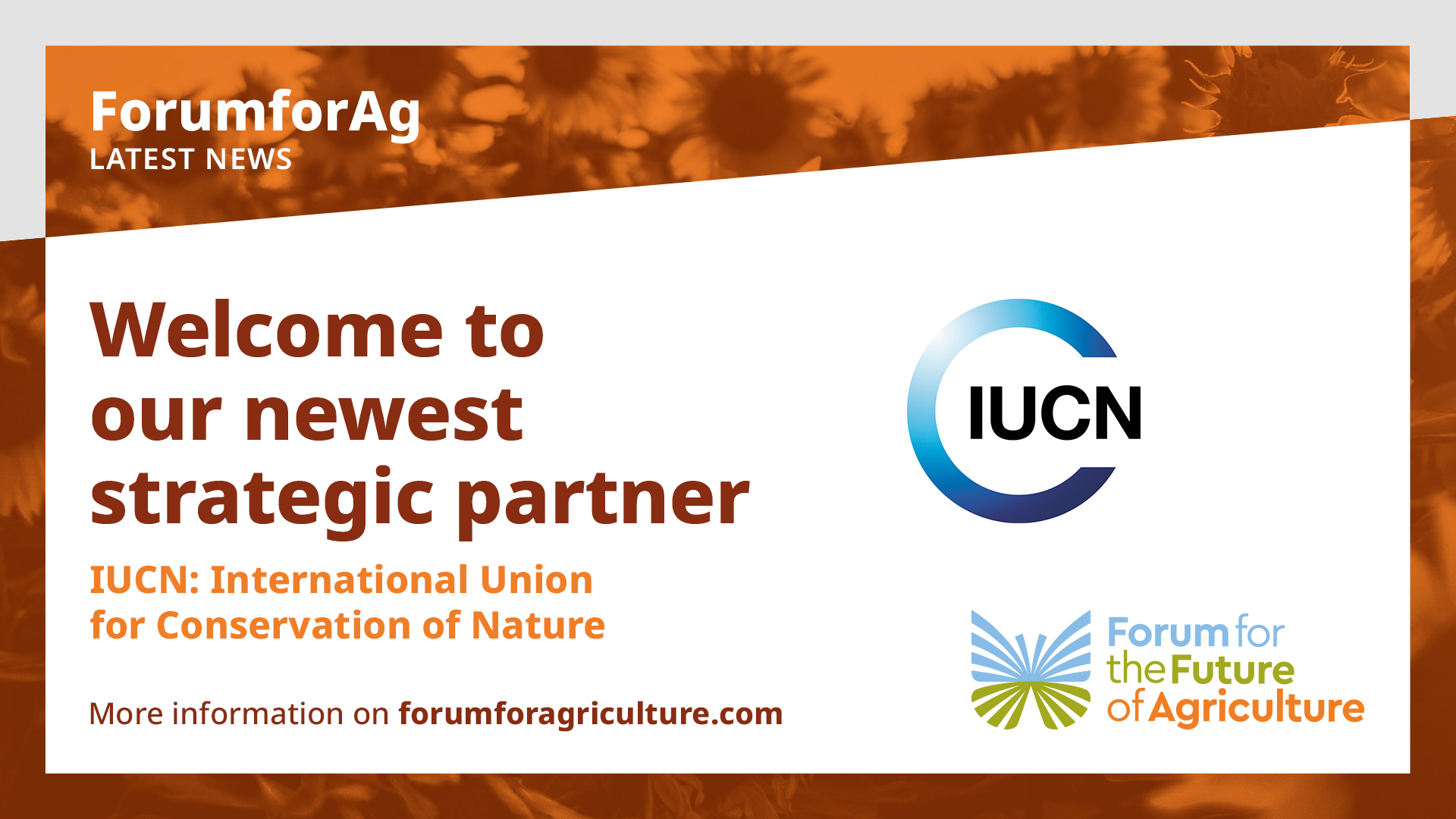  A new partner The Forum welcomes the IUCN as a new strategic partner banner image