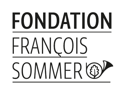 Fondation François Sommer image