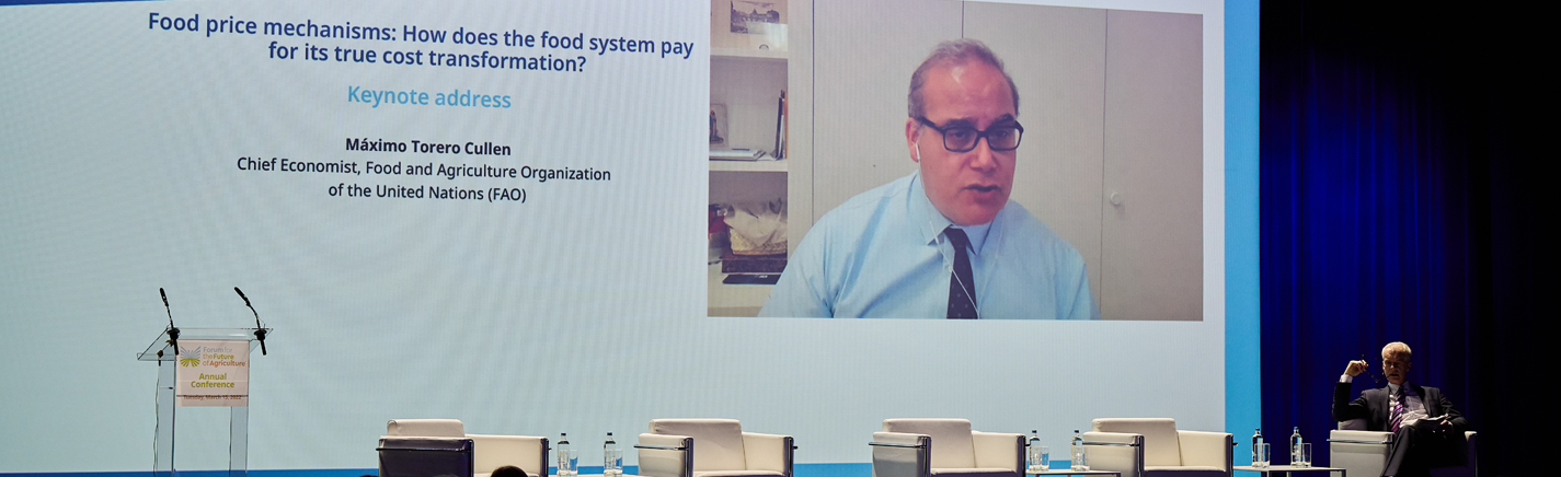  Food price mechanisms: How does the food system pay for its true cost transformation? banner image